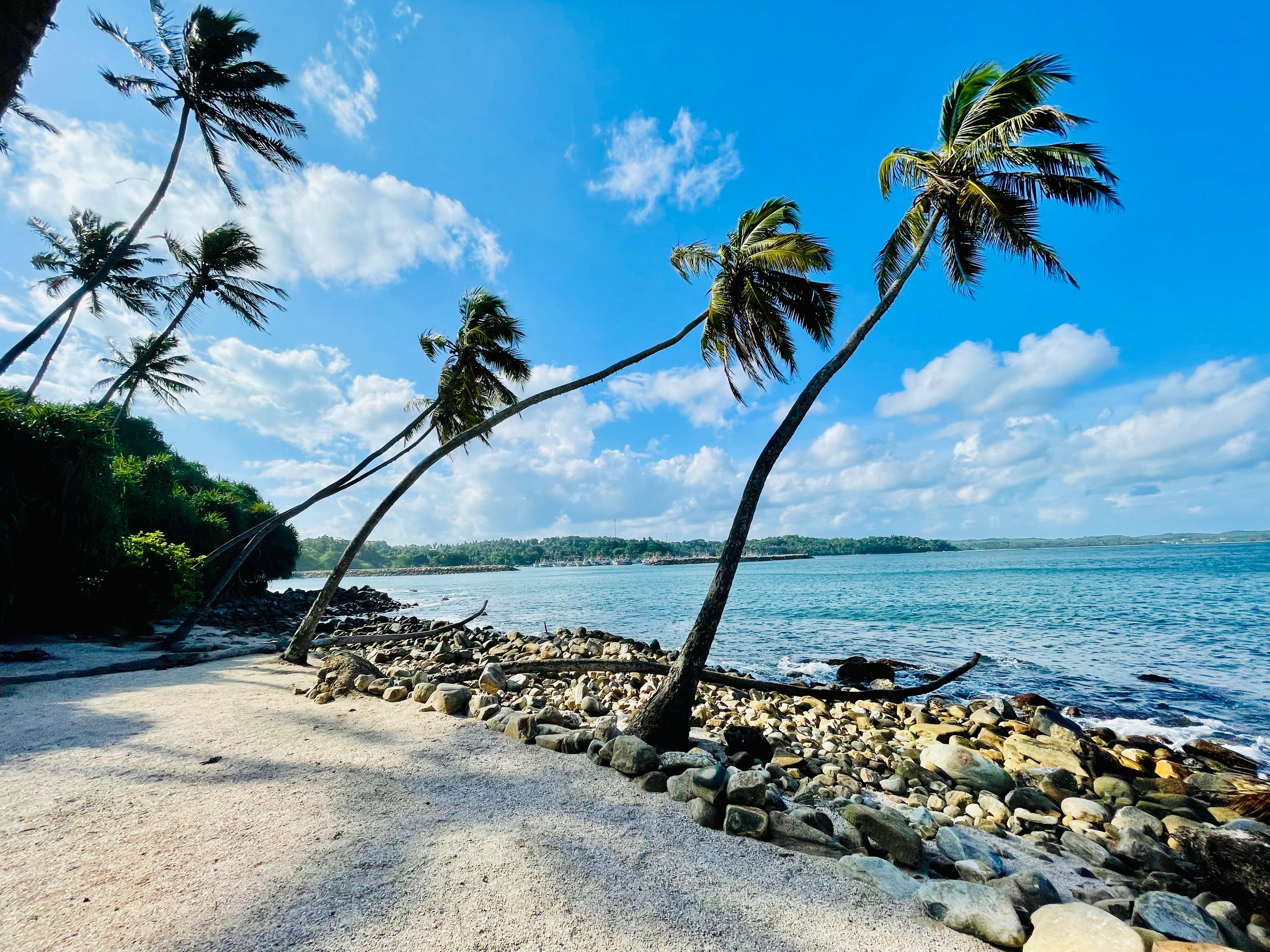 Island
